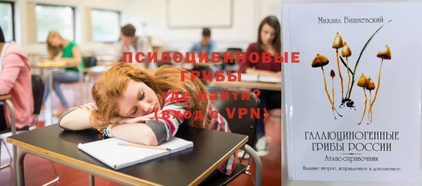 ECSTASY Абинск