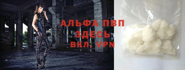 гашик Алексин