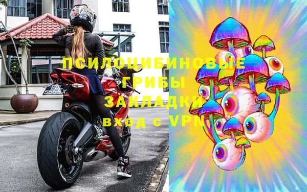 спиды Абаза
