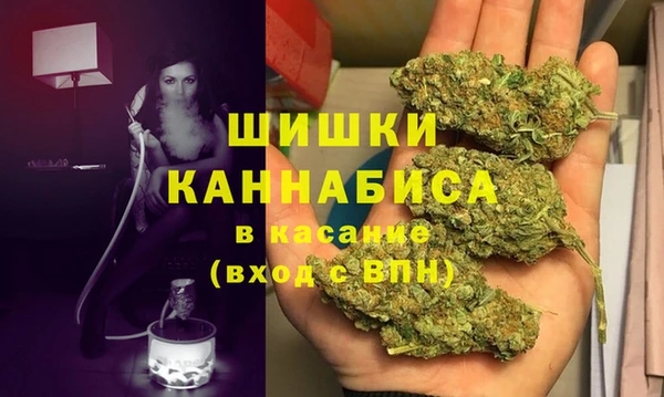apvp Новозыбков