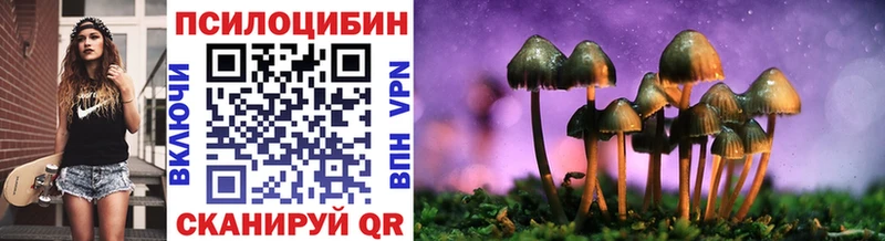 Псилоцибиновые грибы прущие грибы  купить наркоту  Щёлкино 